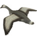 Franzbogen Flying Grey Goose